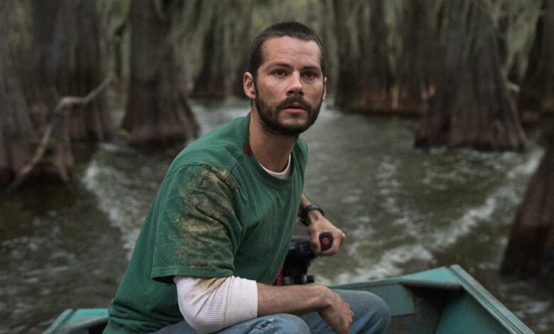 Los horrores de Caddo Lake
